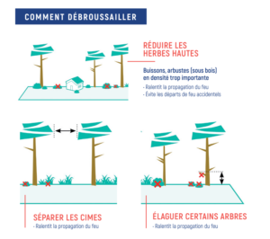 Les différentes étapes pour débroussailler son jardin