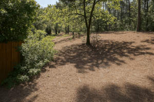 Débroussaillement à proximité des habitations