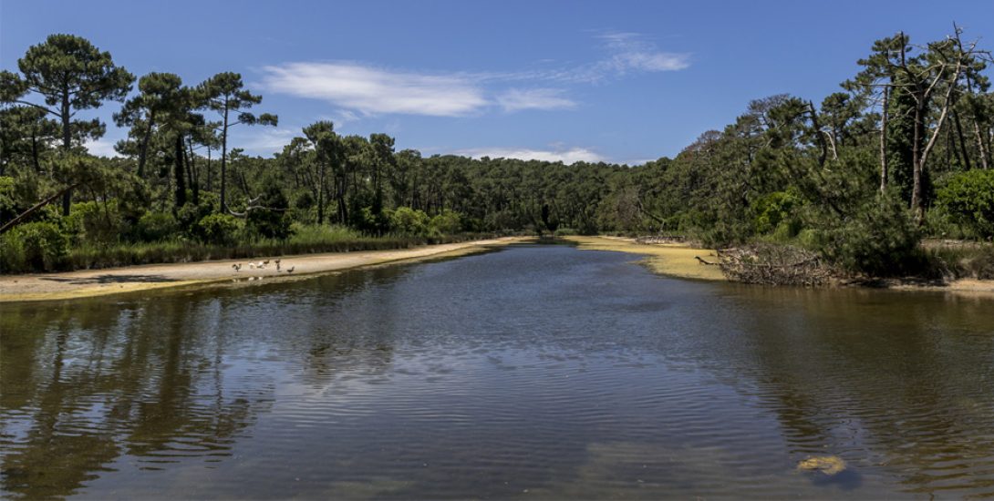Réservoirs de Piraillan